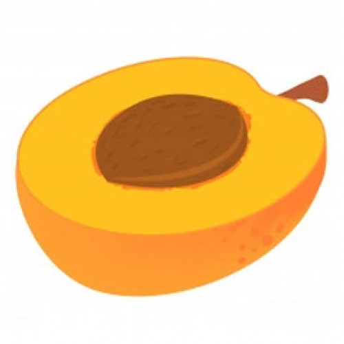 Noyau d'abricot BIO (Huile végétale) 200ml