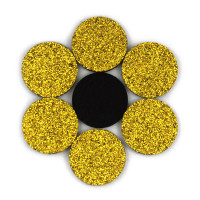 Rondelles à paillettes dorées 22mm (5 pièces)